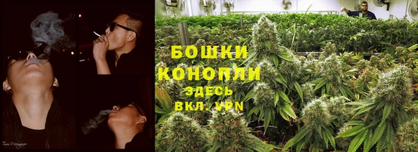 гашик Беломорск