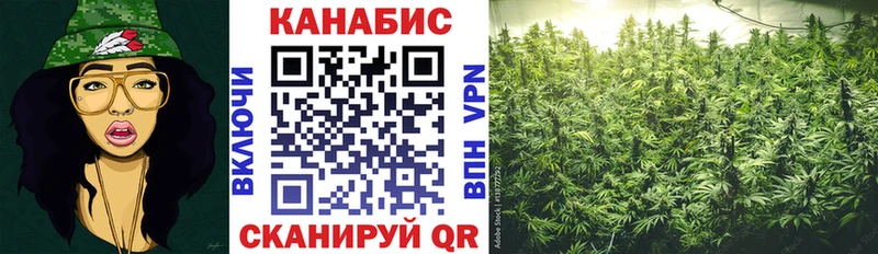 купить наркотики сайты  Черноголовка  mega ТОР  Конопля VHQ 